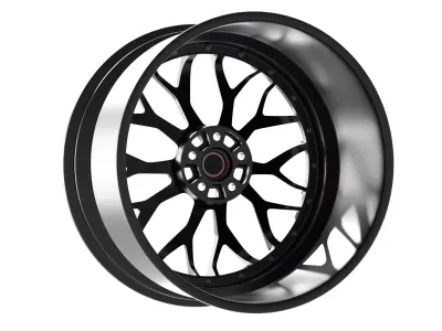 AL13 Carbon Series CF-R80 Duoblock Wheel 3D model