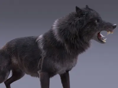 Black Wolf Rigged 3D model