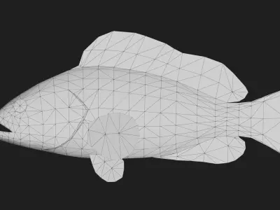 Grouper Low-poly 3D model 4