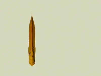 SANPEDRO LOW POLY fish 3D model