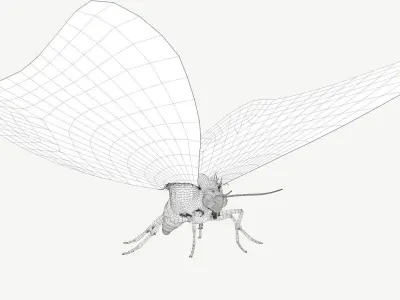 Madagascan Sunset Moth Low-poly 3D model