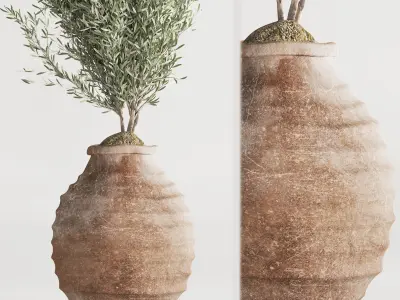 Olive Tree In Antique Pottery And Indoor Plant Set 86 3D model