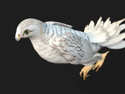 Kestrel B6 3D model