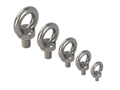 Ring Nuts DIN580 3D model