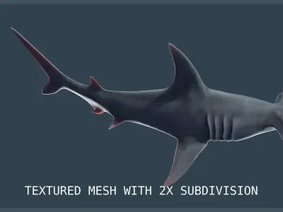 Hammerhead Shark Low-poly 3D model purchase