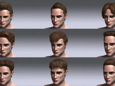 Hairstyle Collection 3 3D model