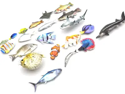 Fishes Set 3D model buy
