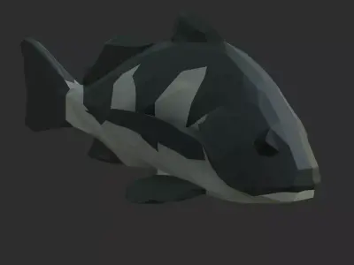 Low Poly Black Drum Low-poly 3D model