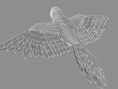 Gold Macaw 3D model