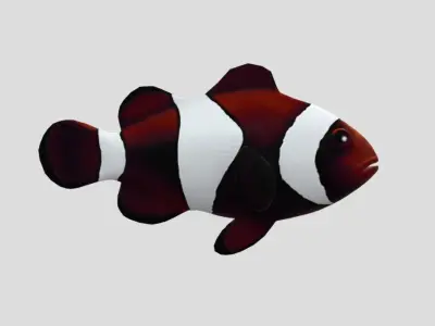 clownfish Low-poly 3D model purchase