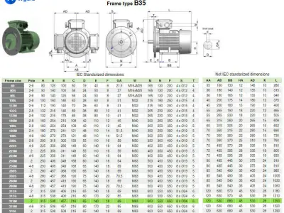 315M B35 Right 2 Pole IEC electric motor - 3D CAD model 3D model