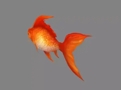 Cartoon red carp Low-poly 3D model