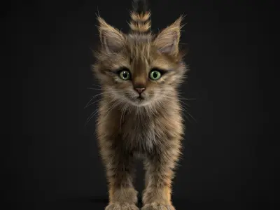 Kitten Tabby 3D model