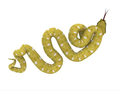 Snake yellow Serpent jaune 3D model