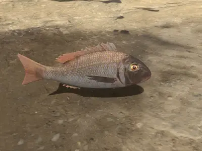 Fish 3D flying in sky Low-poly 3D model