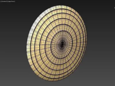 Golden Shield 3D model