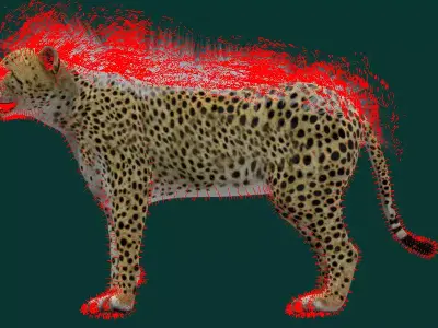 Young Cheetah Animal Free 3D model purchase
