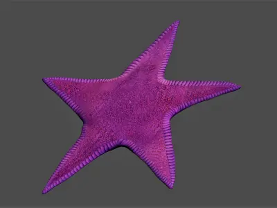 Starfish Low-poly 3D model purchase
