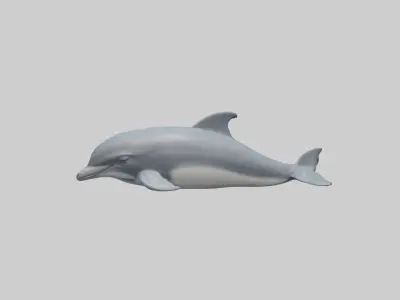 Sleeping Dolphin Model Low-poly 3D model