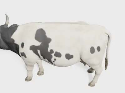 cow 3d model with realistic texture Low-poly 3D model