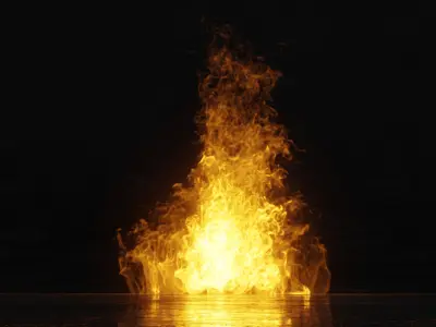 3D Bonefire fire 3D model