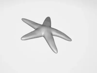 Starfish 3D model buy