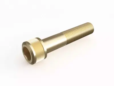Screw 69 3D model