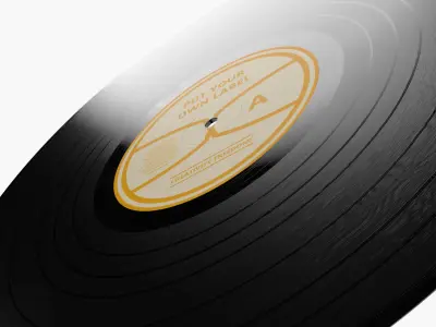 Vinyl Disc 3D model
