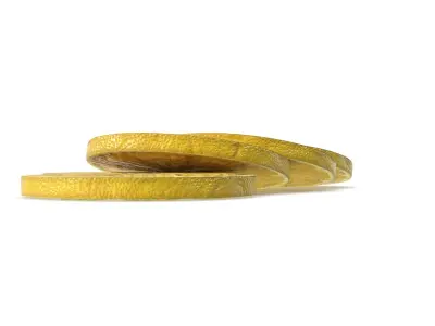  LemonSlices 
