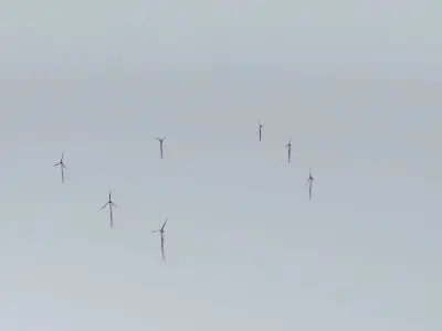 Woolnorth Wind Farm -2 Free 3D model