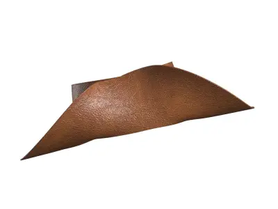 Cowboy Hat 3D model