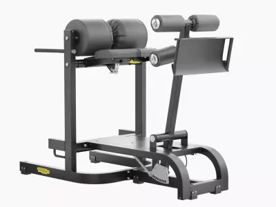 Technogym GHD Bench Pure 3D model