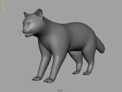 Lynx Animal 3D model