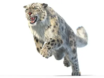Animated Snow Leopard Fur 3D model