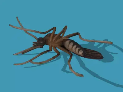Dead mosquito Low-poly 3D model