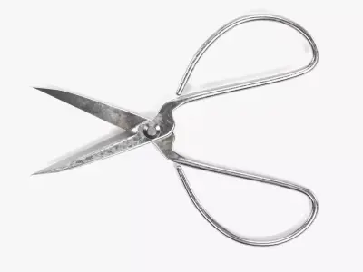 -Bonsai Scissors- 3D model
