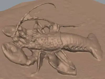 Lobster in sand 3D model