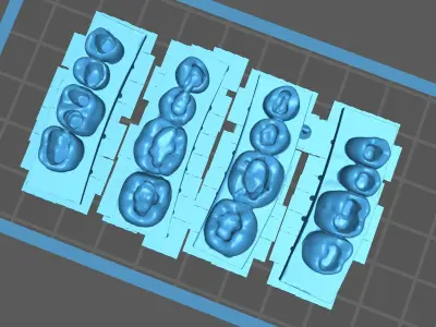 Dental training models 3D print model