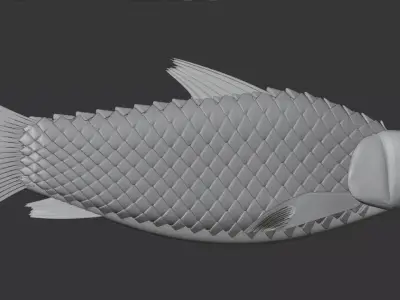 Fish 3d model Free 3D print model