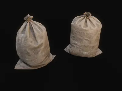 Sacks Low-poly 3D model purchase