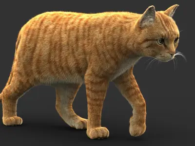 Cat (2) (Orange Tabby) (FUR) 3D model