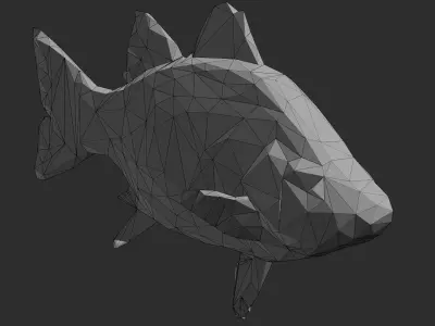 Low Poly White Bass Low-poly 3D model