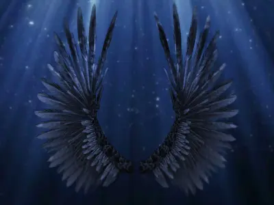  Bird Wings Rigged 