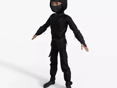 Ninja Rigged 3D model