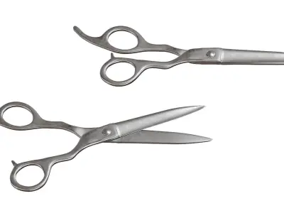 Kasho Metal Scissors for a hairstyle 3D model