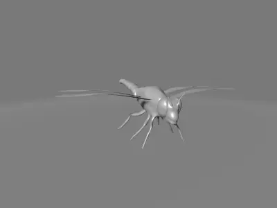 Meganeuropsis fly 3D model