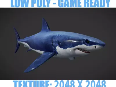 Shark great Low-poly 3D model get