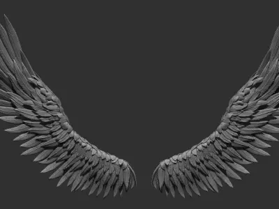 Wings pair of angel Free 3D print model