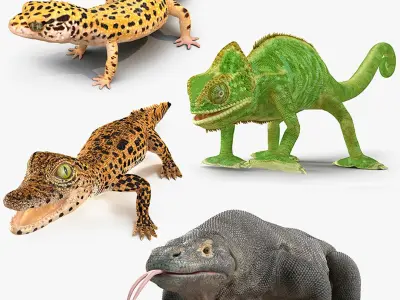  Rigged Reptiles Collection 2 for Maya 