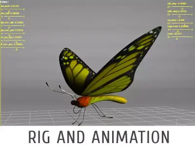 Butterfly 3D model shop